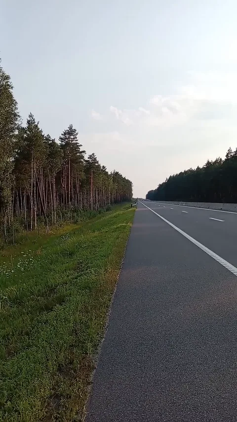 Лесной участок магистрали М1/Е30 по пути к Бресту