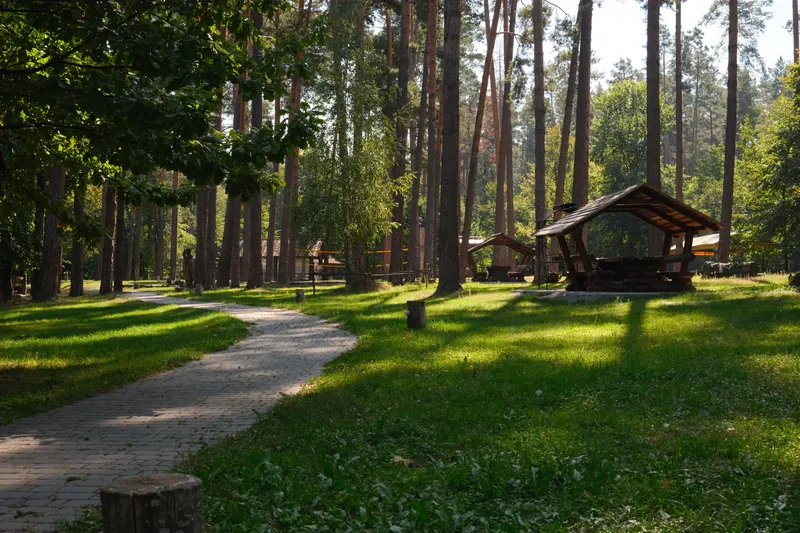 Сосновый парк санатория: мощёная дорожка, беседки и солнечный свет