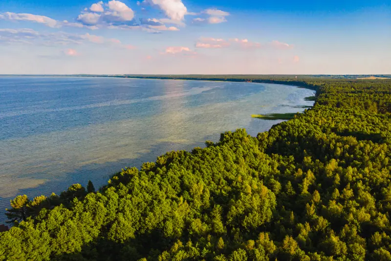 Озеро Нарочь с высоты птичьего полёта: вода и лес по берегу в летний вечер