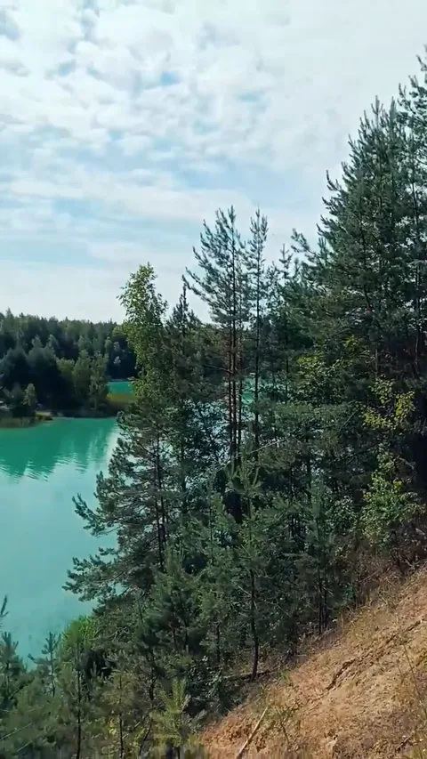 Лесное озеро Глубля с поросшего соснами холма